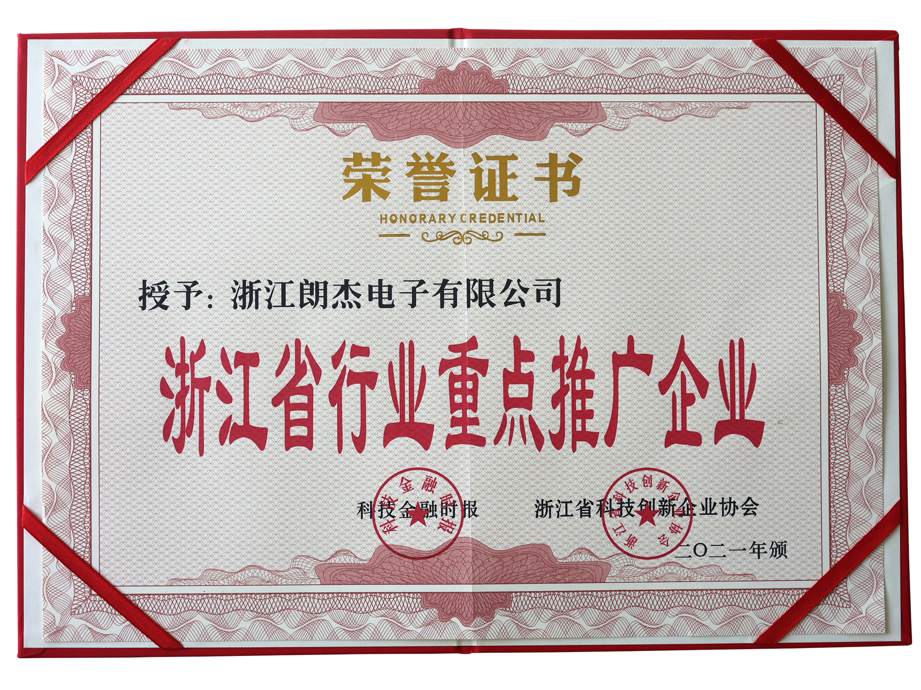 Zhejiang Key Enterprise for Industry Promotion, certificate image