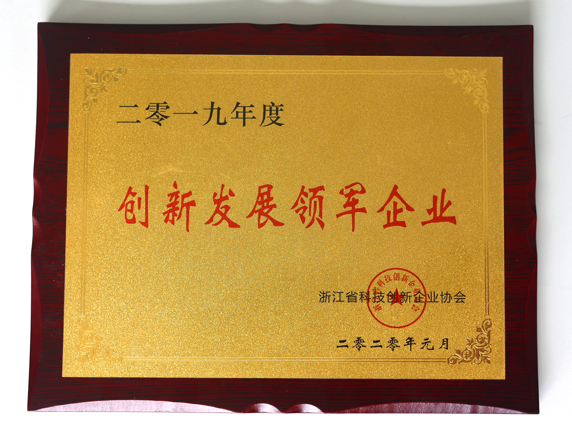 Leading Enterprise in Innovative Development (2019), certificate image