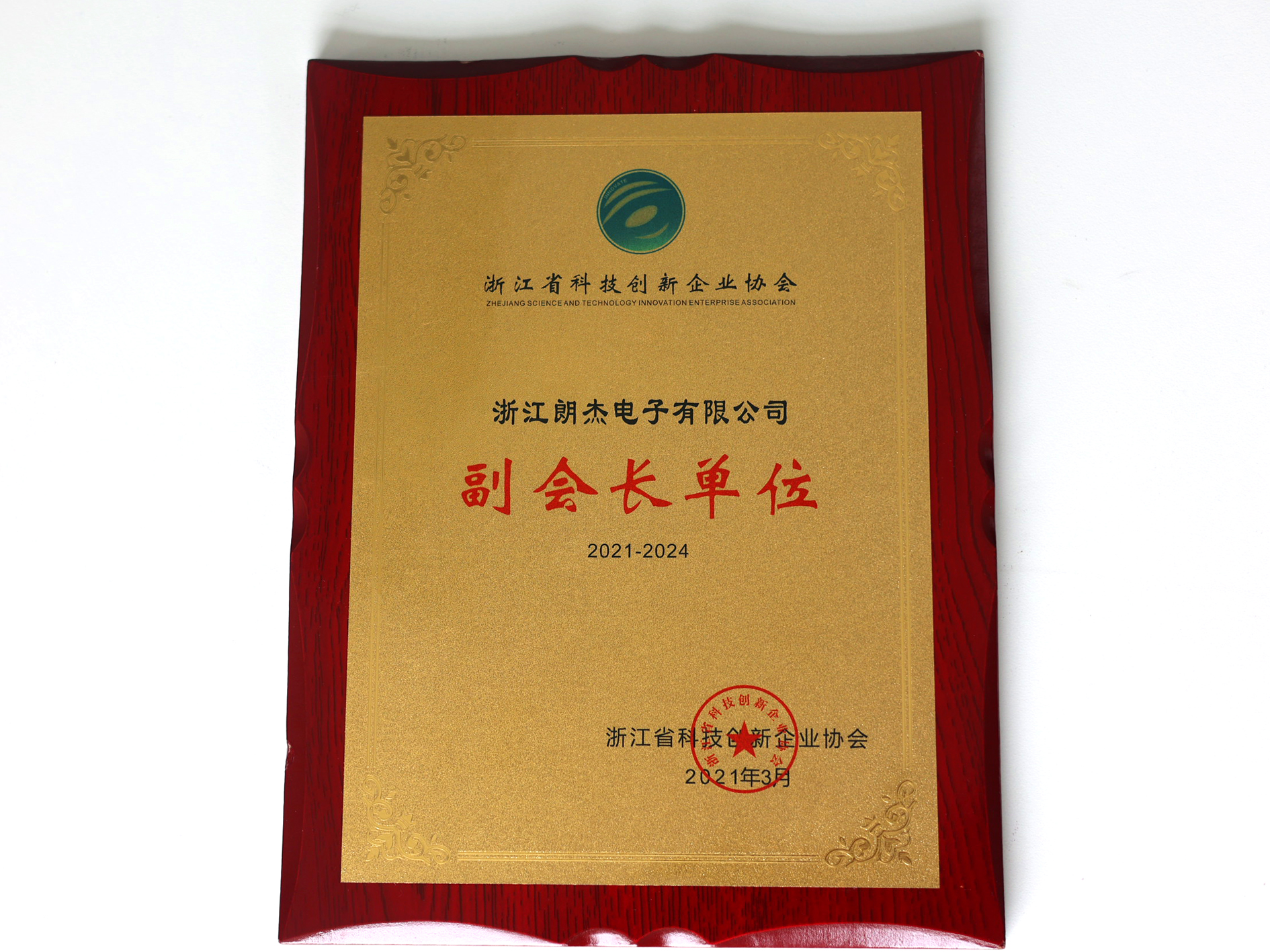Vice-Chair Organization, Zhejiang Science and Technology Innovation Enterprise Association, certificate image